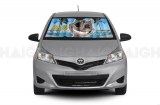 twisted_sunshade_car2_b_resize